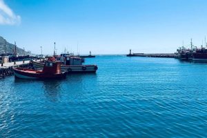 084552fa-d350-46b2-8ef4-3880e2d992fa 084552fa-d350-46b2-8ef4-3880e2d992fa