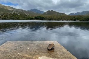 68781de5-32b3-49dc-8d6e-ce6d2cf576c1 68781de5-32b3-49dc-8d6e-ce6d2cf576c1