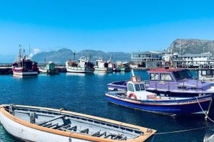 e0a2582e-5168-4c61-991e-b89abefec836 e0a2582e-5168-4c61-991e-b89abefec836