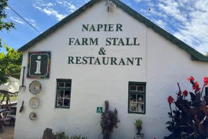 14d96743-50fa-4c67-8d39-d5963ef4cc65 14d96743-50fa-4c67-8d39-d5963ef4cc65