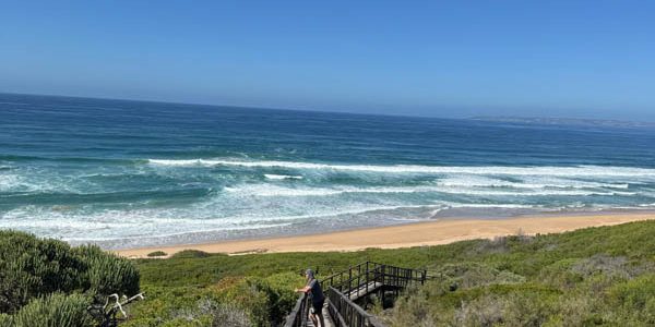 3e703c2f-57ec-42b1-9a18-5a95731e68b7 3e703c2f-57ec-42b1-9a18-5a95731e68b7