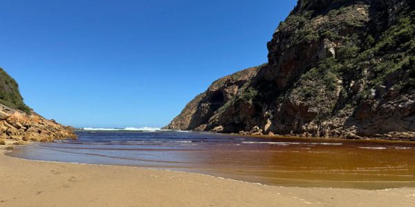 50fae32f-b2ef-48fe-8c30-ebe3213d86ab 50fae32f-b2ef-48fe-8c30-ebe3213d86ab