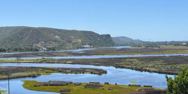 51178352-34c6-4f09-a8b4-3a168a1a297a 51178352-34c6-4f09-a8b4-3a168a1a297a