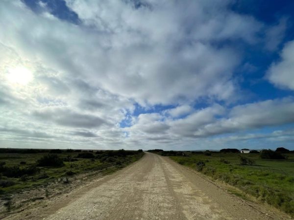 PHOTO-2025-04-03-14-53-56 3 PHOTO-2025-04-03-14-53-56 3