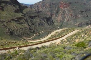 PHOTO-2025-04-03-15-01-53 3 PHOTO-2025-04-03-15-01-53 3