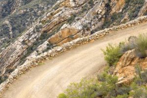 PHOTO-2025-04-03-15-01-53 PHOTO-2025-04-03-15-01-53