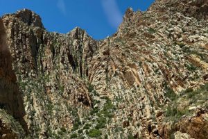 PHOTO-2025-04-03-15-01-55 PHOTO-2025-04-03-15-01-55