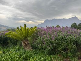 b34c97c4-0320-42cf-a399-0c553620c3cb b34c97c4-0320-42cf-a399-0c553620c3cb