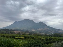 e33458ab-fa75-4c13-bdb6-6ed026e707ce e33458ab-fa75-4c13-bdb6-6ed026e707ce